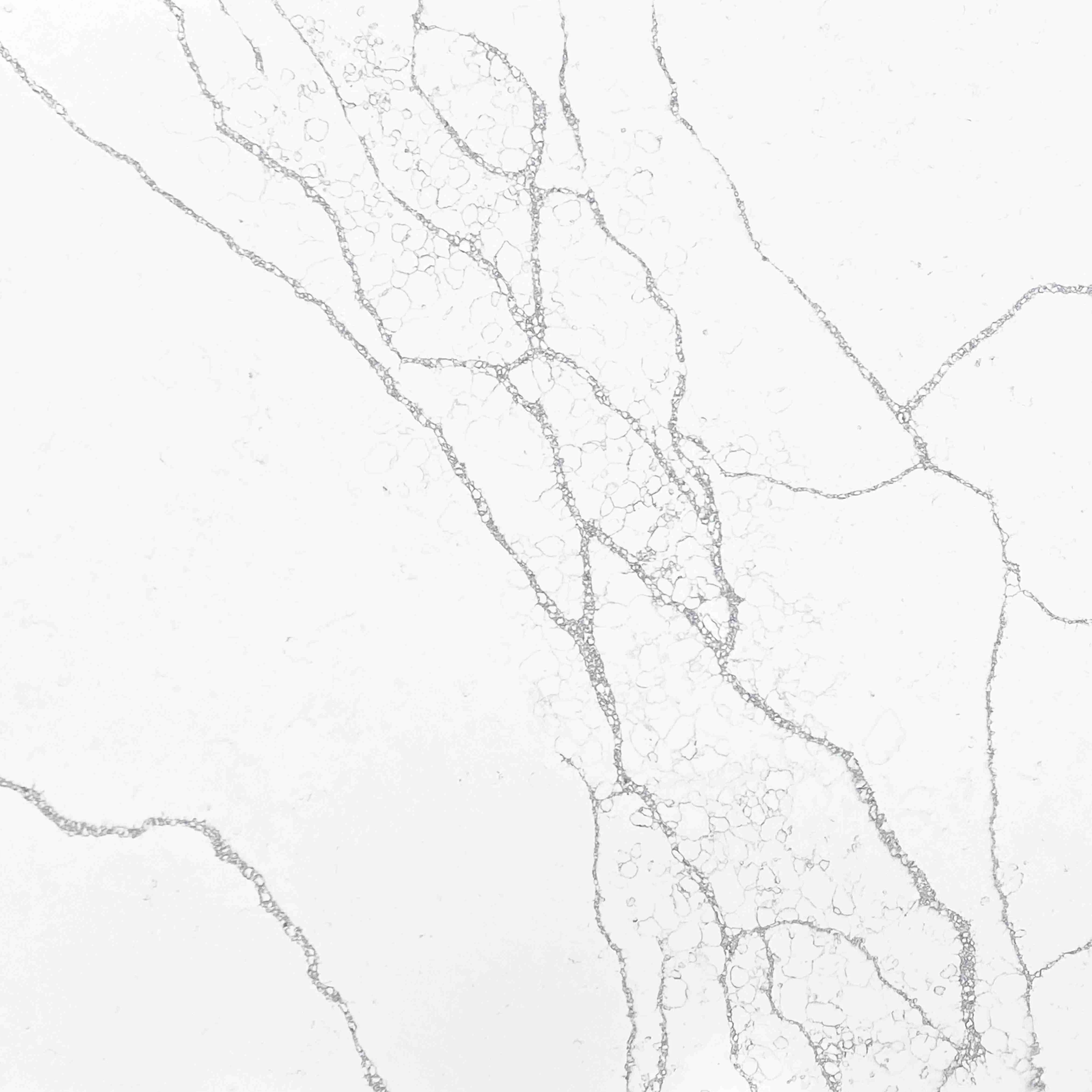 Summerly Quartz  V041 Bianco Venato White Artificial Quartz Stone For Kitchen Countertop Quartz Price Vanity