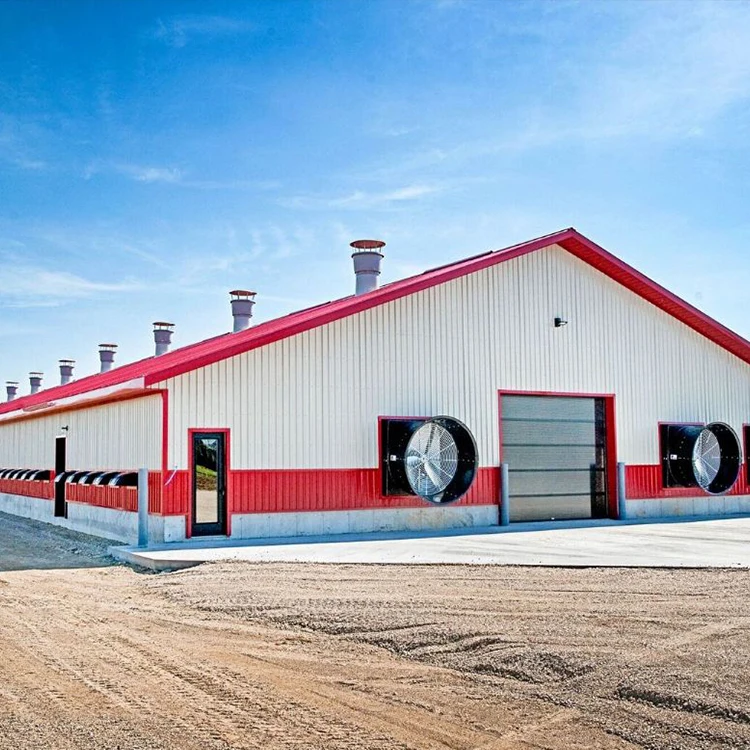 2022 new desgin free range steel structure chicken house Shed Poultry Farm