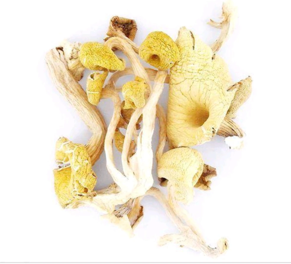 Import and export dried yellow mushroom, manufacturer sales