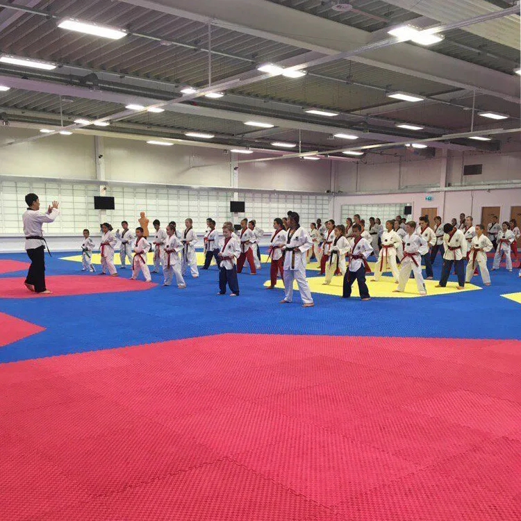 LINYIQUEEN, профессиональный коврик из пены EVA для карате, дзюдо, тхэквондо, джиу-джитсу, борьба, Федерация айкидо