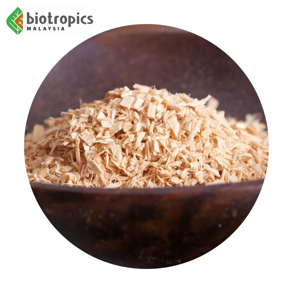 Premium Grade Tongkat Ali Ingredient PG5 Herb Root for Men Health Herbal Extract Ingredient