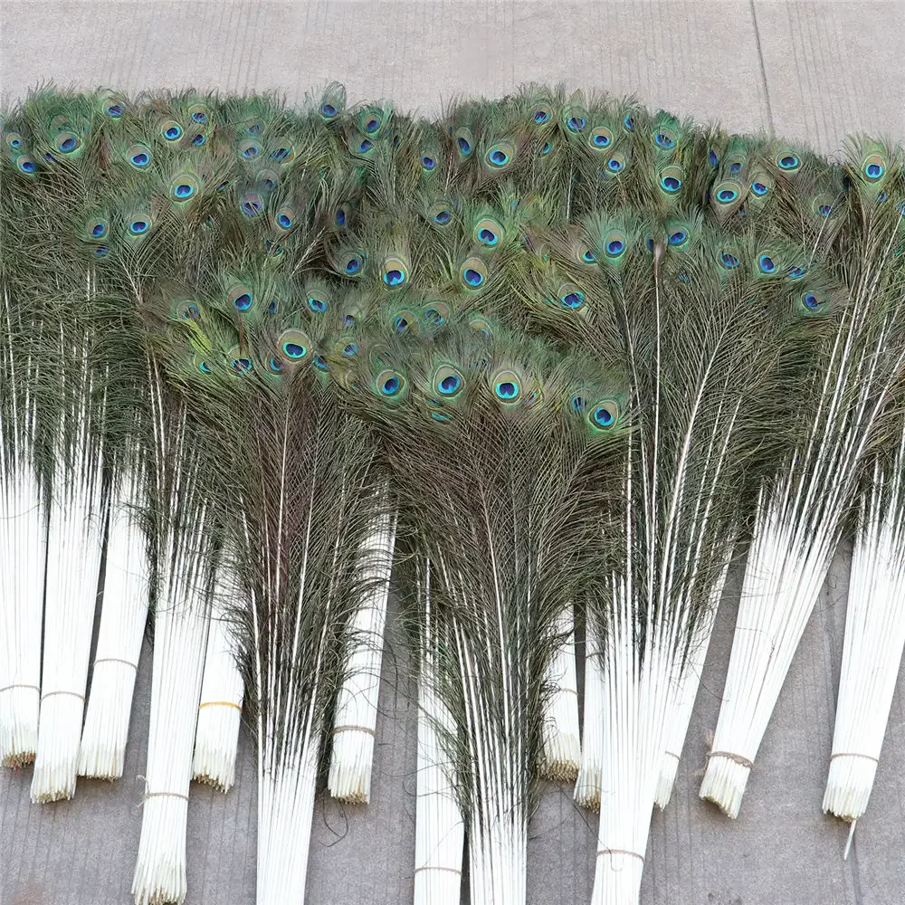 Supplier Wholesale Bulk Peacock Feathers For Floral Arrangements Wedding Home Party Decoration