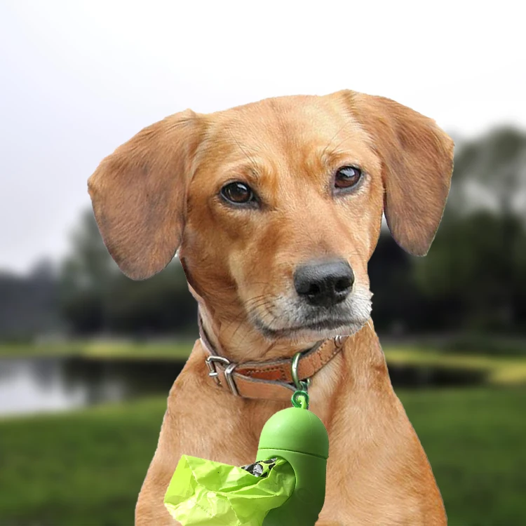 Hot Cute Retail Scented Poop Plastic Bags With Dispenser For Dog Waste