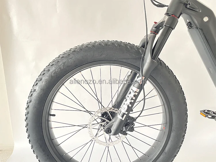 fat-tire_02 .png
