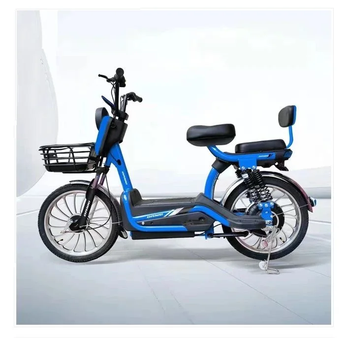 2024 new design electric bicycle with 500W motor power electric bike with lead acid battery from China ebike factory