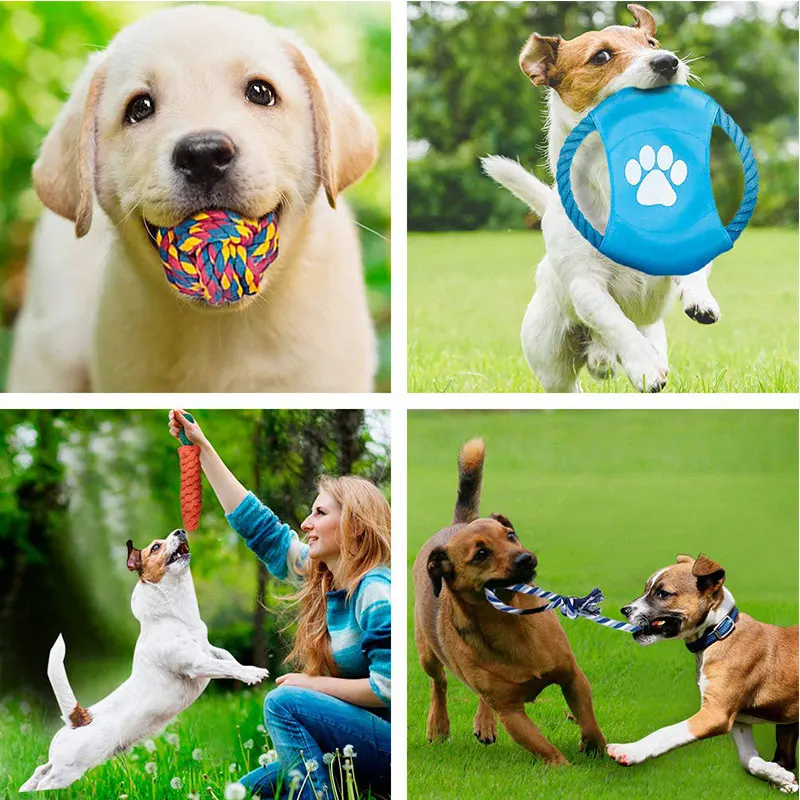  Hund Spielzeug в форме ожерелья Jouet Pour Chien Juguetes Para Mascotas Perro собака жевать игрушка на веревке