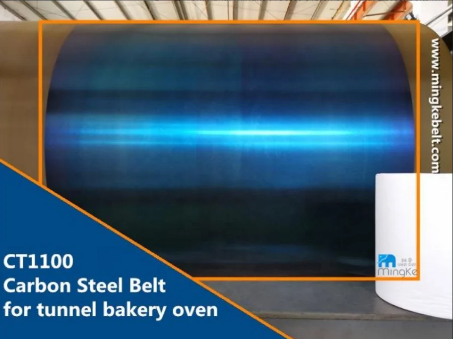 Factory supply Steel Belt Flat Carbon Steel Band