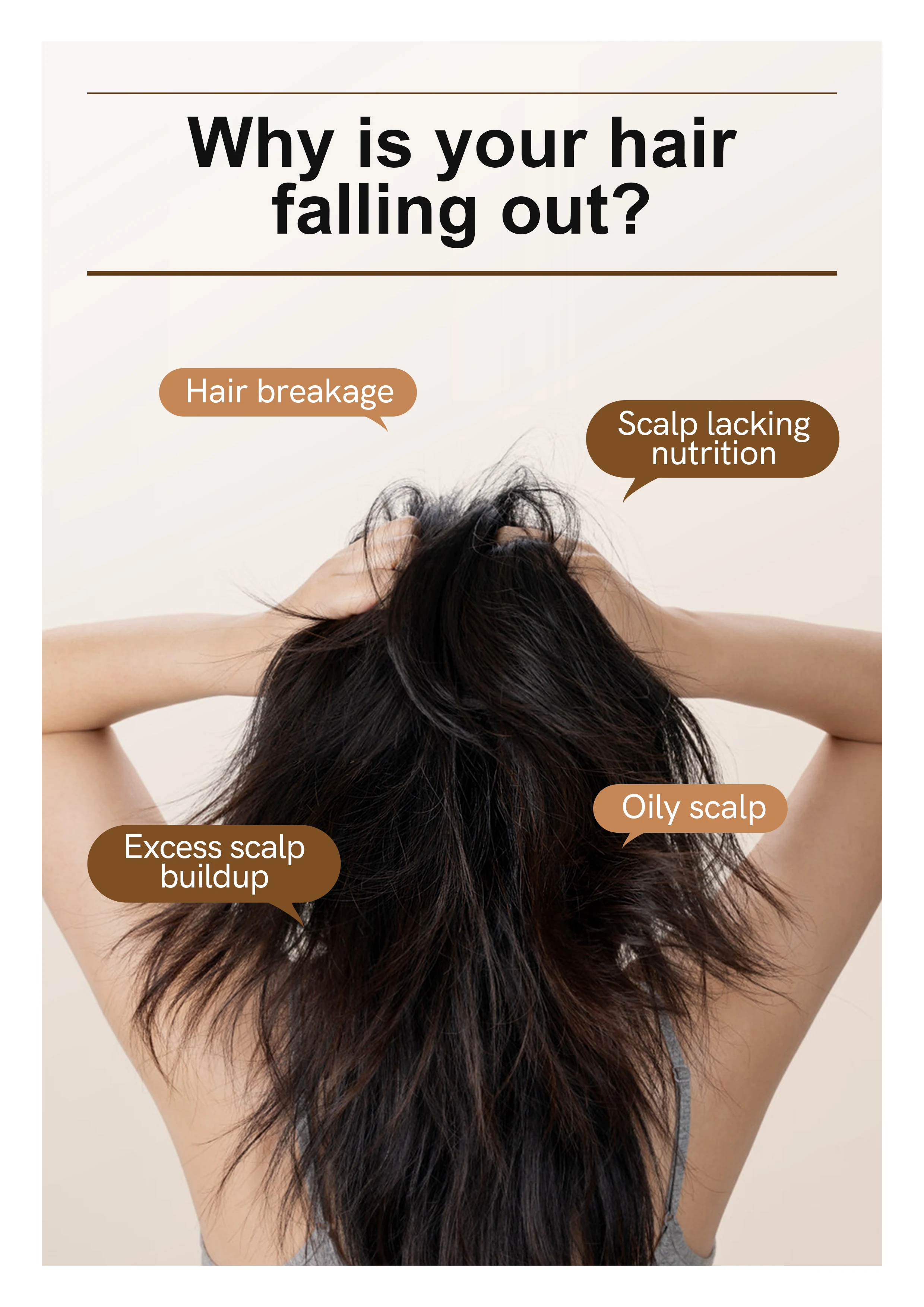 Wholesale Factory Anti Loss Nourishing Hair Growth Serum Natural Ginger Ginseng Extract Gentle Cleaning Shampoo Hair Care Set