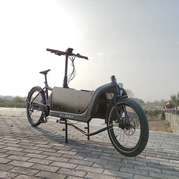 Europe warehouse bicycle Alloy Cargo Bike Electric cargo bike  20' inch tire bicycle cargo etrike adult sports e-bike