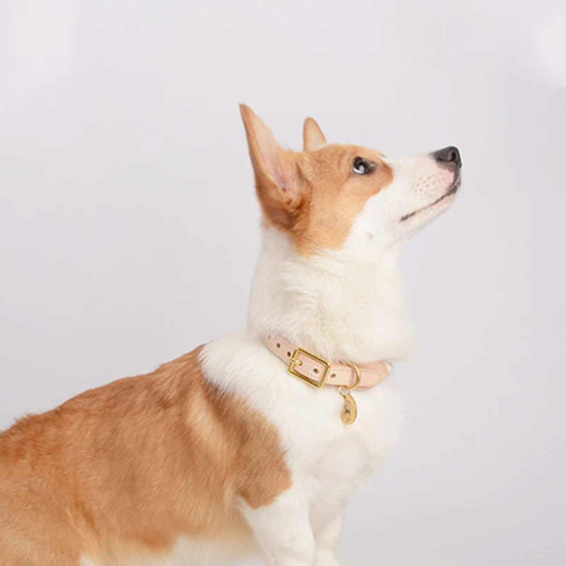 Adjustable Puppy Leather Belt Braided Cotton Rope  Leather Dog Collar for Small Dog Cat