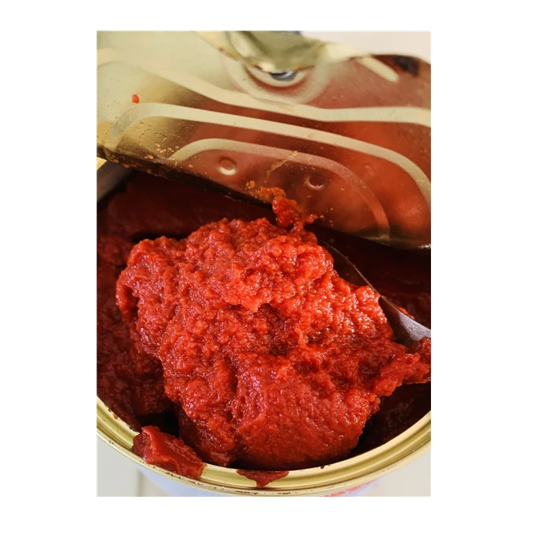 tomato paste 210g in 28-30% brix double concentrate with best price