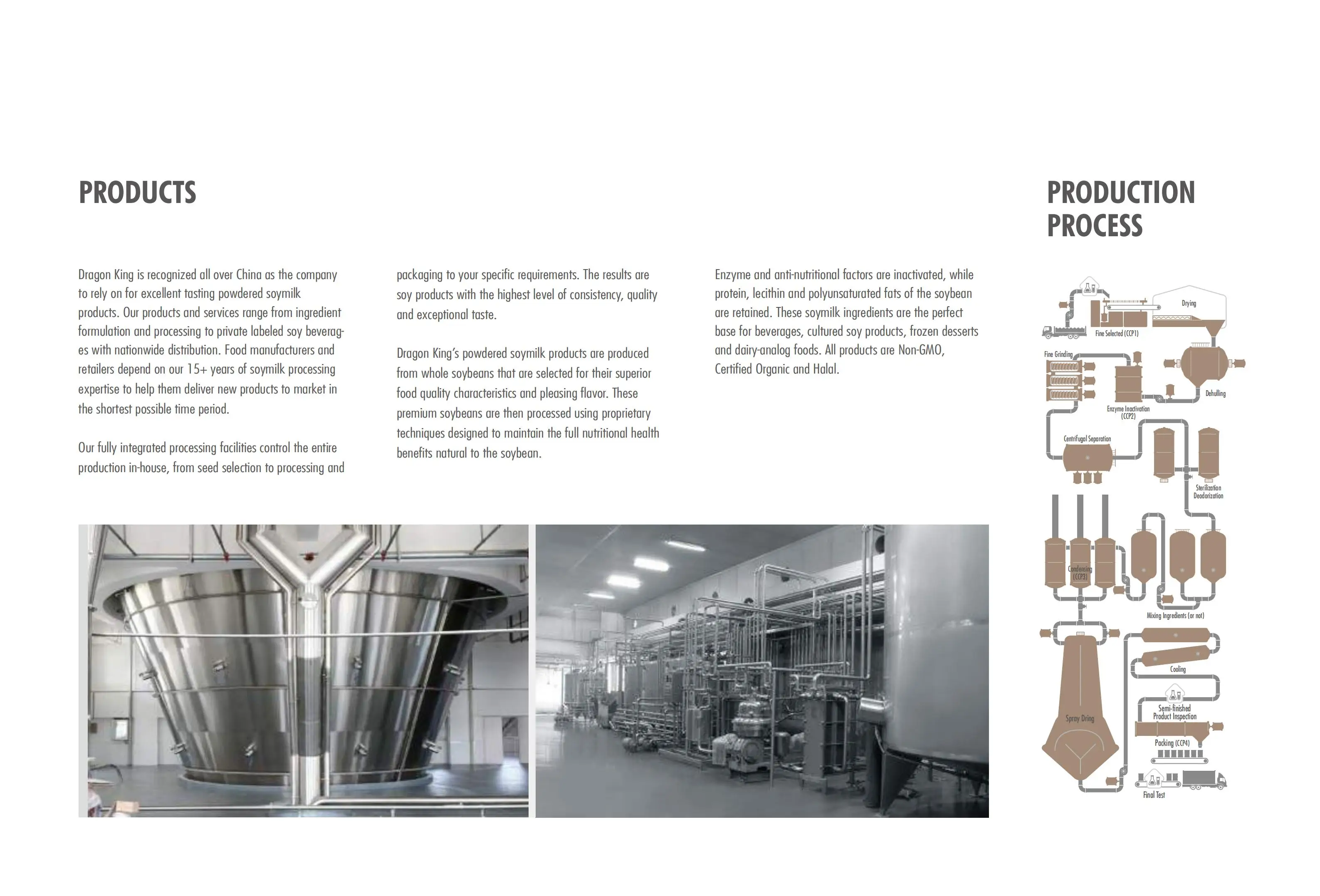 Dragon King Foods_05