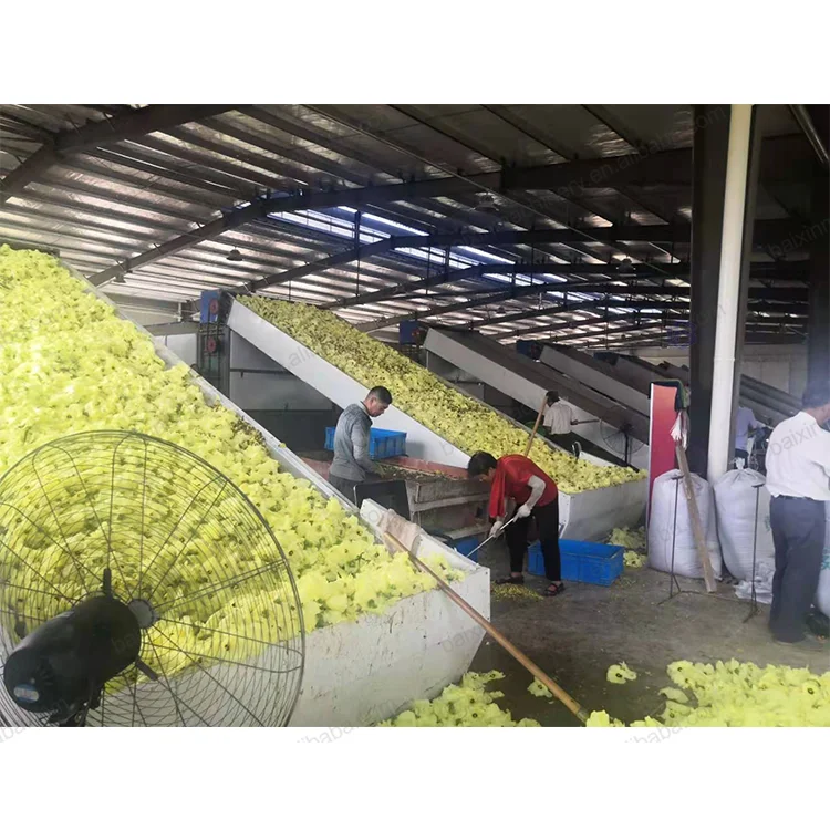 Automatic Leafy Vegetable Dehydrator Mix Vegetable Air Conveyor Mesh Belt Konjac Dryer