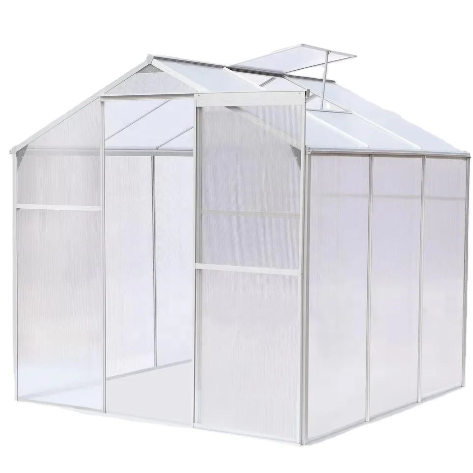Hot Sale Agricultural Greenhouse Invernadero Polycarbonate Other Greenhouses
