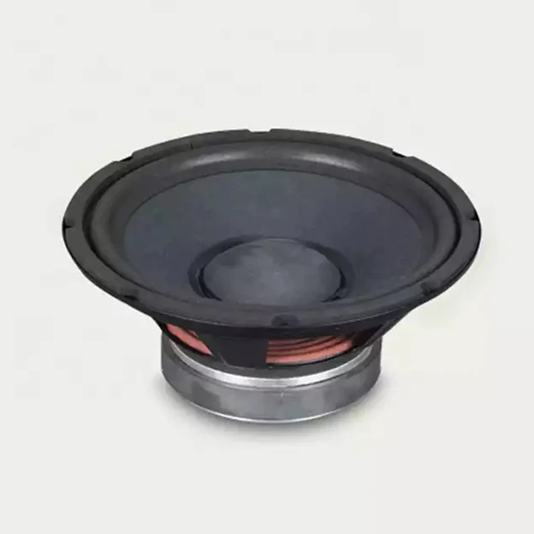 Professional 10 inch loudspeaker 140mm magnet diameter audio dj speaker woofer