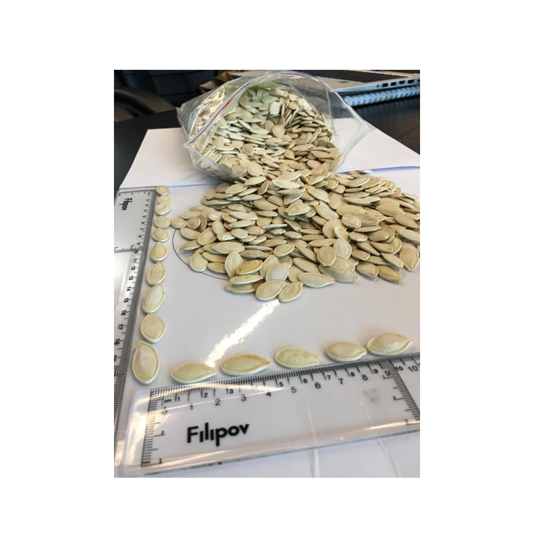 Wholesale Good Quality Ukrainian Type Pumpkin seeds Size 10 At Factory Price Pumpkin seed Top Quality Orign Life Snack Packaging