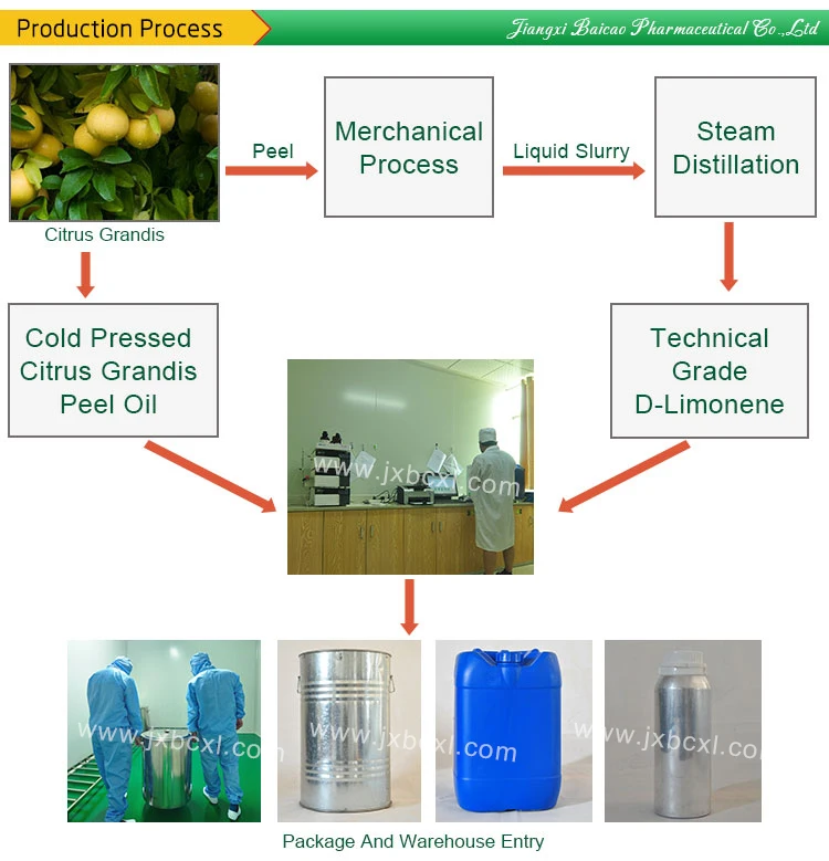 OEM/ODM Manufacturer Wholesale Bulk Citrus Fruit Grapefruit Essential Oil Vitamin C Cream for Body