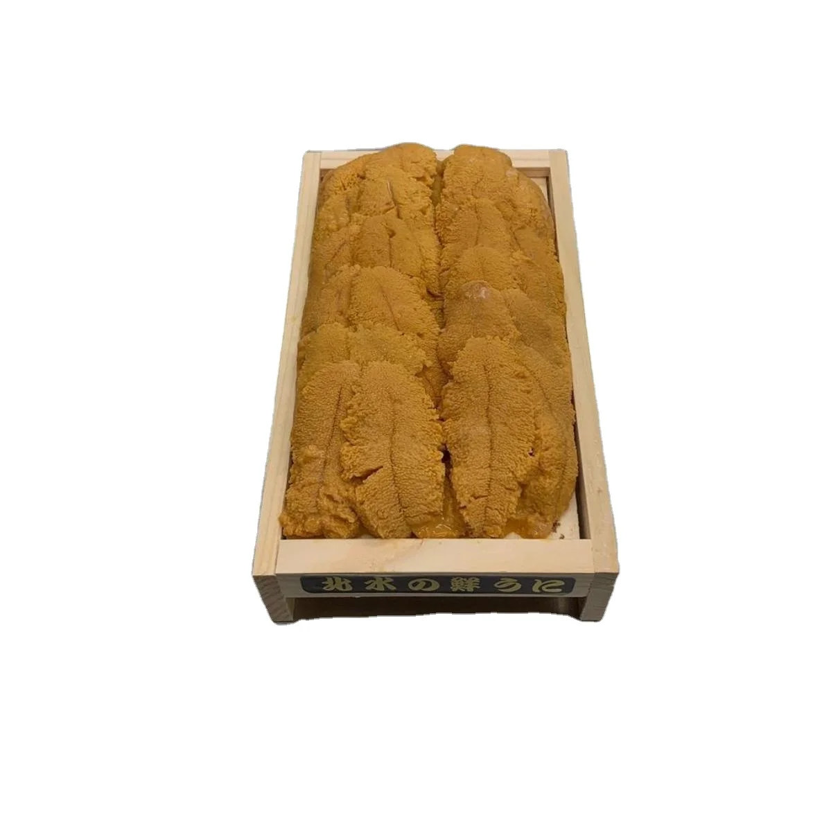 
 Замороженные Свежие морские урчи  