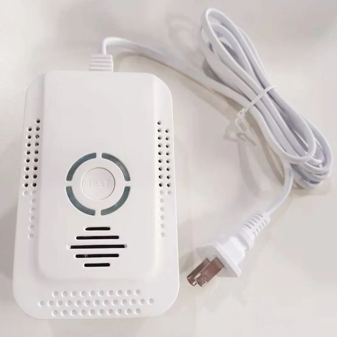 2022 AC110-240V Power 9V Battery Backup Carbon Monxide CO Alarm Sensor and Gas Detector Alarm For household