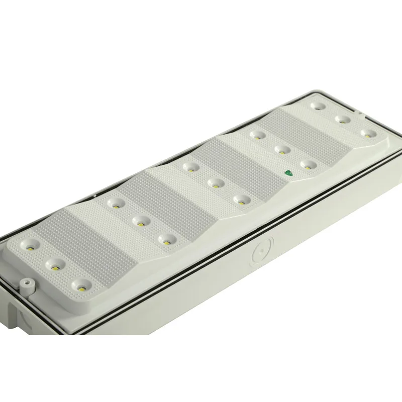 Rechargeable Small IP65 Plastic Waterproof Emergency Lamp Bulkhead Emergency Light