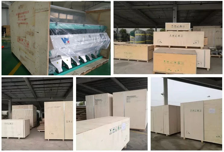 Multipurpose Belt Color Sorter Machine Glass Plastic Mineral Salt Color Sorting Machinery Used In Mining Recycling Plant