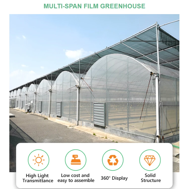 Hot Galvanized Steel Frame Agricultural Greenhouses Tunneling Irrigation System Mushroom Greenhouse