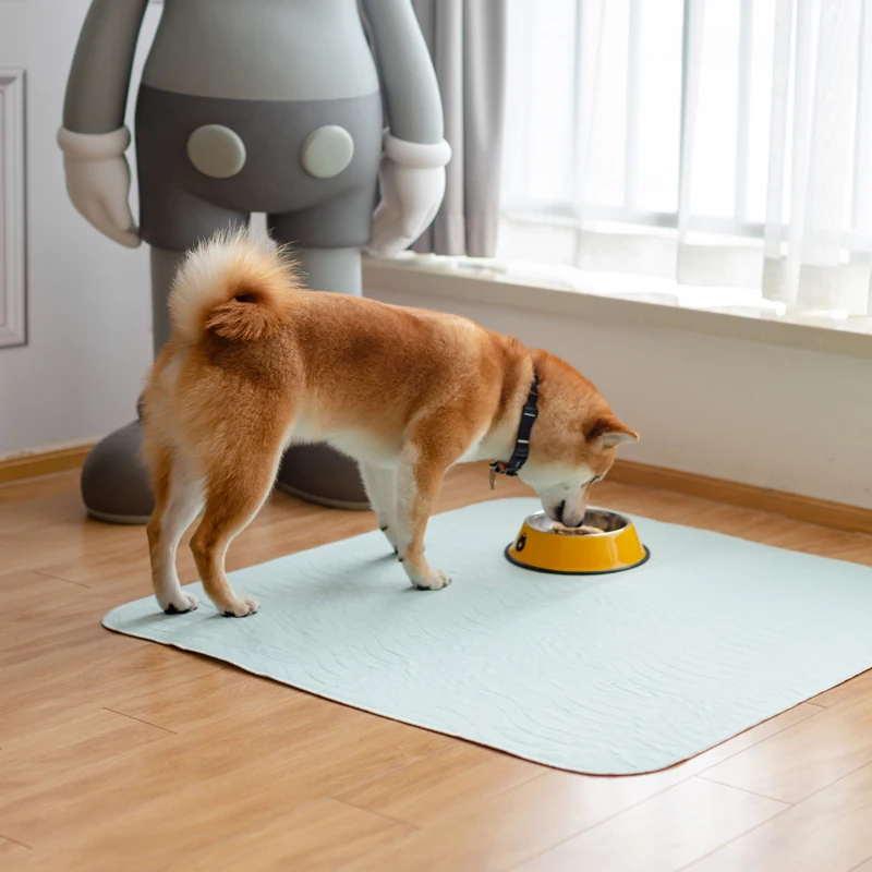 2021 Лидер продаж моющиеся подушечки для