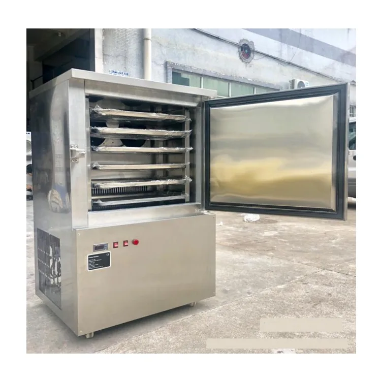 2021 Новая быстрая замороженная морозильная камера