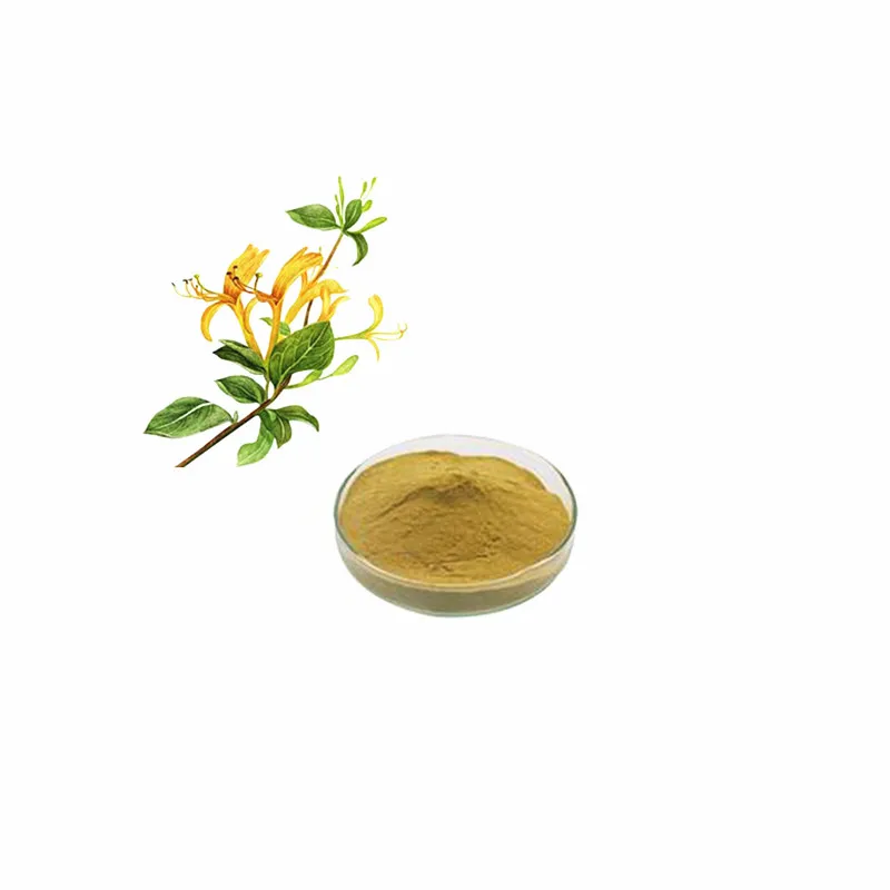 Manufacturers Wholesale Health Food Grade Honeysuckle Extract Powder