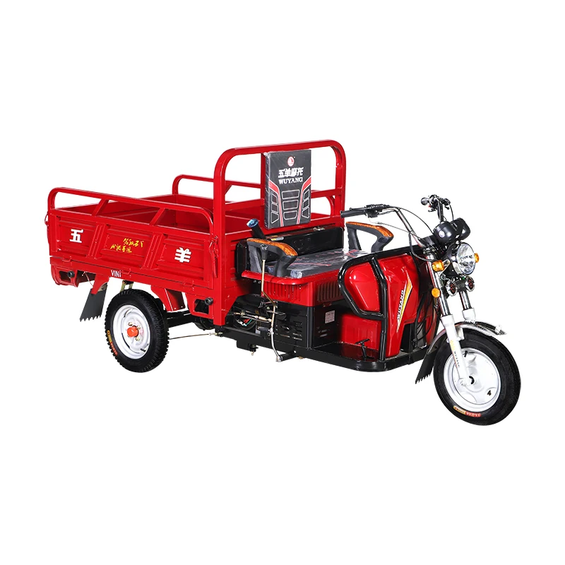 High quality Gasoline auto three wheel auto rickshaw price