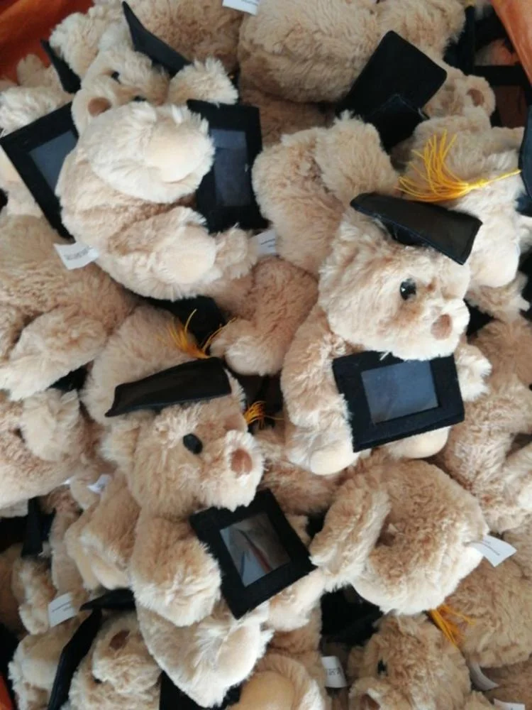 OEM design own stuffed plush toys graduation bear  Graduation Bear Stuffed Toy Animal Black Hats Shirt Holds Book