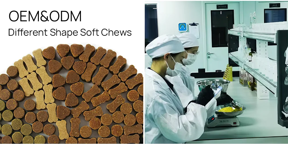 Stomach Guard | OEM/ODM Natural Probiotic Soft Chew Dog Snacks Optimal Intestinal Health Pet Food and Supplement