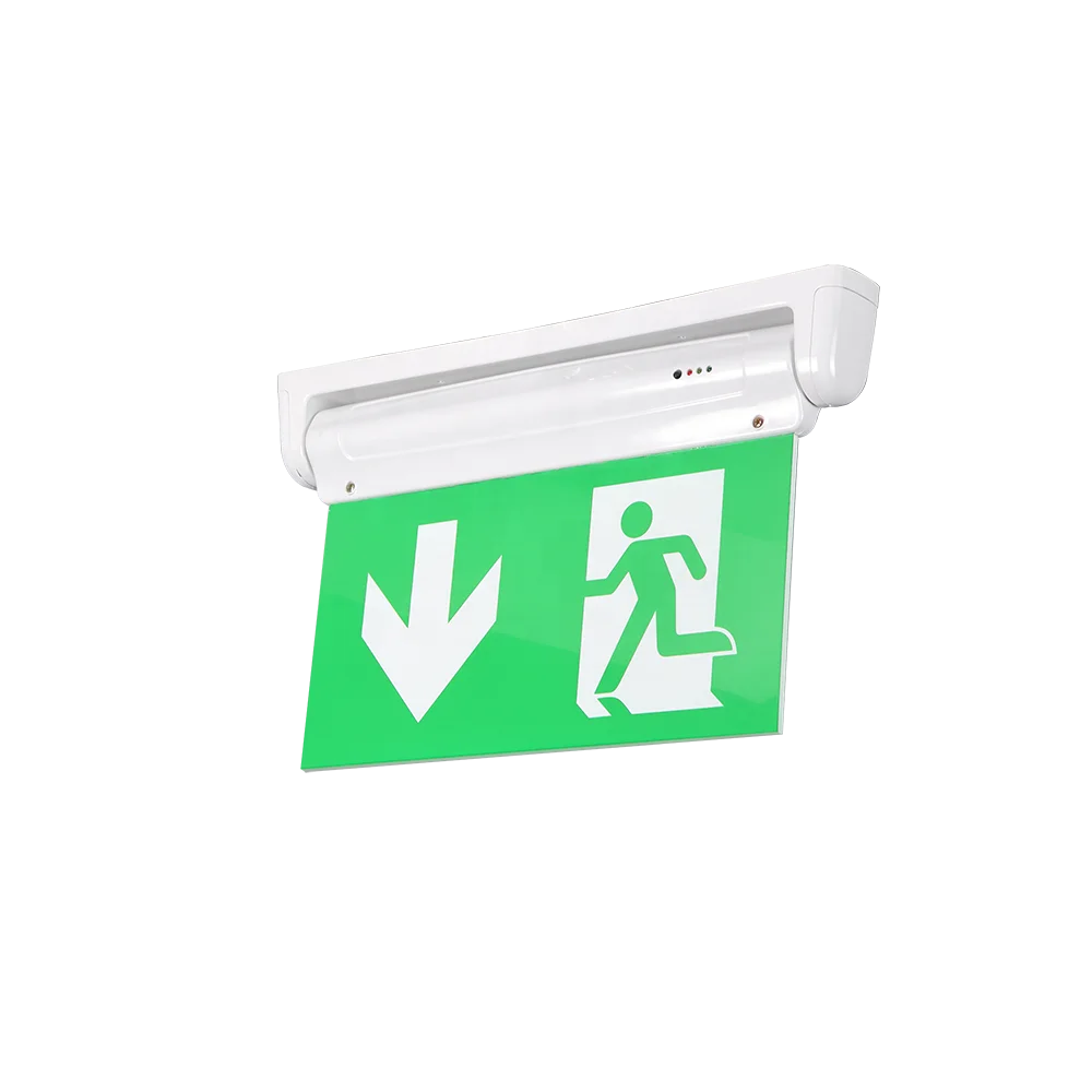 emergency light battery rechargeable emergency light 220 V/12 V emergency light supply