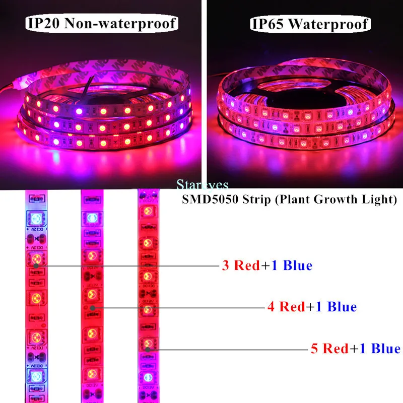 
Free shipping 10 Pcs LED Strip SMD 5050 60 LED/M White Warm white RGB RGBW RGBWW 4 in 1 RGB+CCT CCT tape Ribbon Growth light 