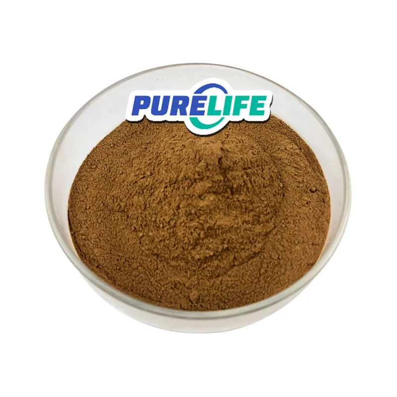 Low Price Porcini Extract Natural Porcino Extract Boletus Edulis Extract