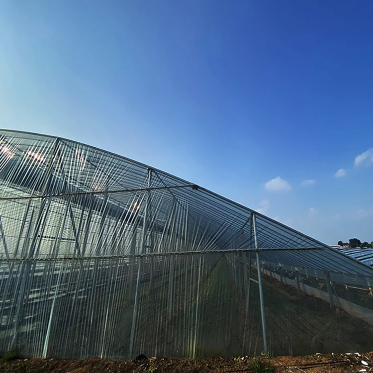 po greenhouse film uv treated polythene film greenhouse blue etfe film greenhouse