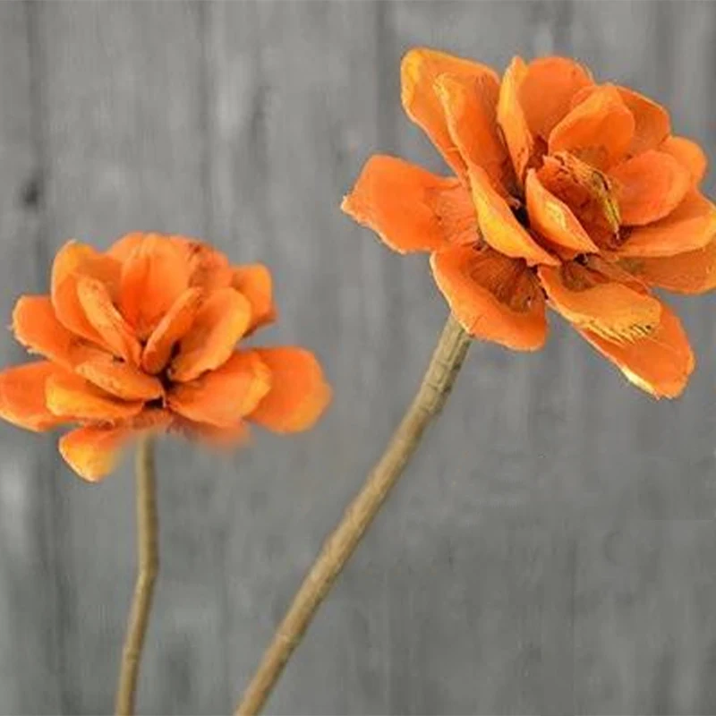 Handmade flowers mini dried flower bouquet materials Drunk the butterfly orchid flower