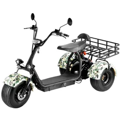 electro electrique electric Scooter 3 wheel bike electric tricycle