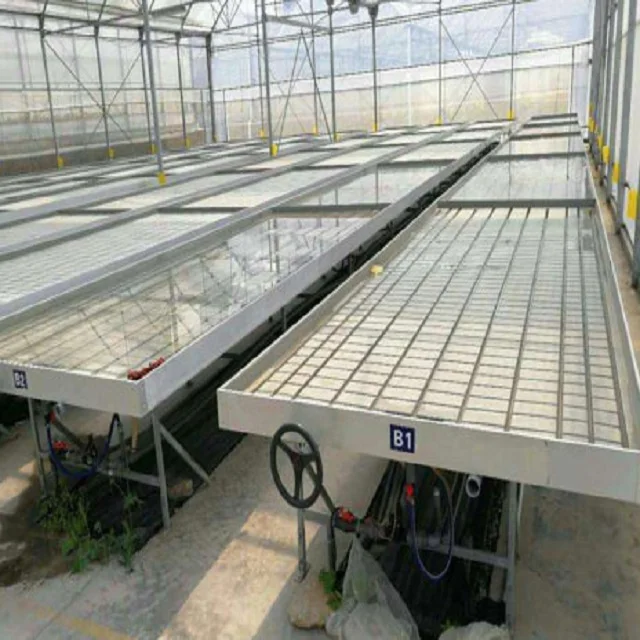 New Design High Quality Movable 4*8ft Vertical Grow Rack Multi Layer Grow Table Hydroponic ABS Tray Growing Table Rolling Bench