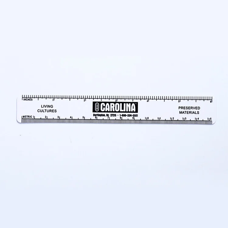 3D Lenticular Printable Parallel Rulers Wholesale Products Custom Design Plastic Fancy 3D Rulers for School Plastic Johnson