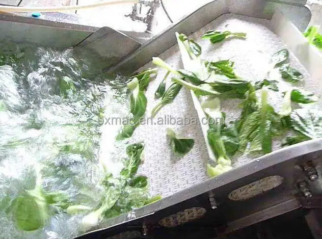 Commercial leafy vegetable washing machine potato cleaning equipment