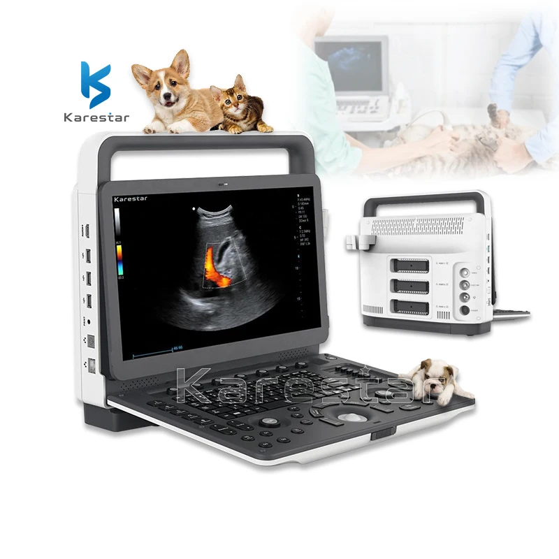 Compete E1V E2V Portable Veterinary 3D 4D Ultrasonido Color Doppler Ultrasound Machine For Sale Portable Ultrasound Color
