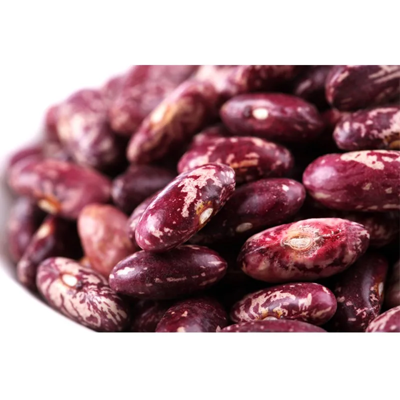 
High Quality and Best Selling Red Kidney Beans 