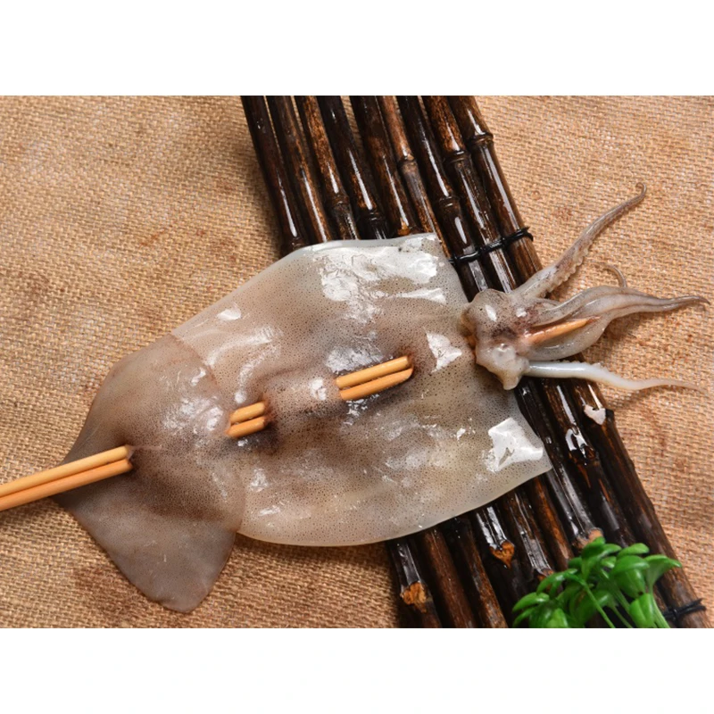 Exported Good Quality Top Fresh Illex Squid Frozen Seafood Export Argentina Squid