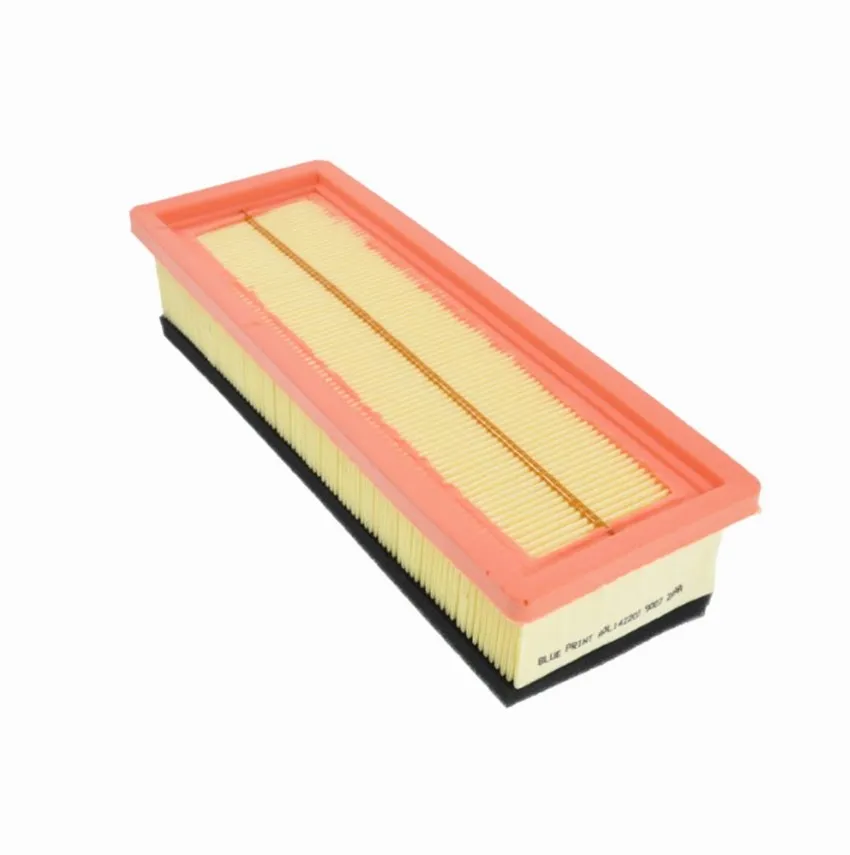 China Supply Wholesale high performance air filter element  165469466R 16546-9466R