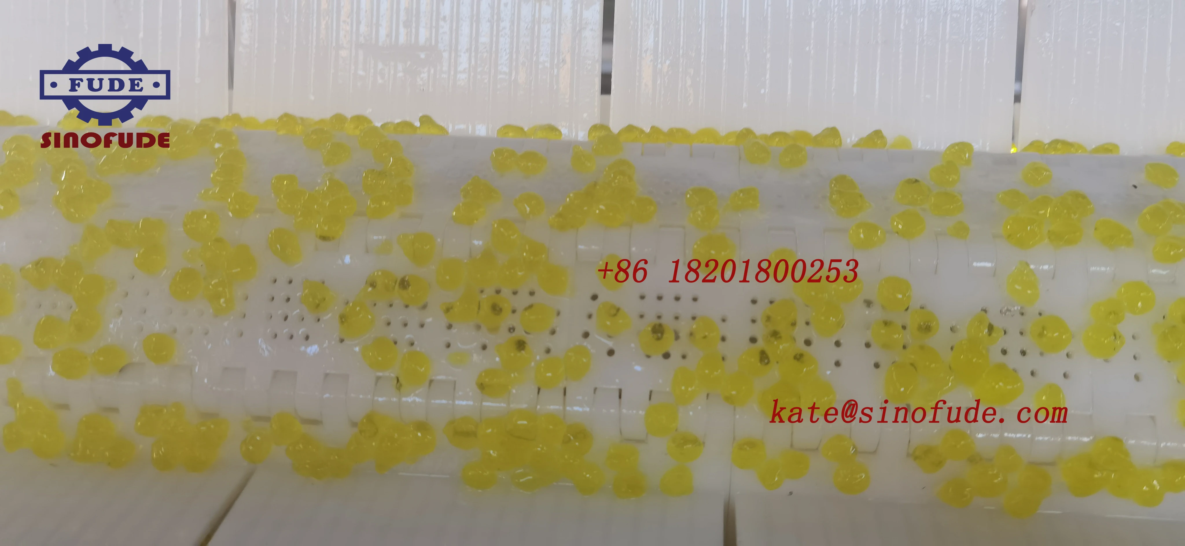 high quality sugar crystal ball forming machine Full automatic konjac pearl agar 3Q ball production line for bubble tea