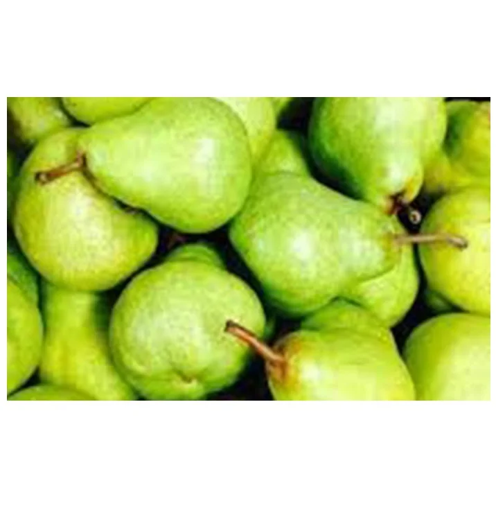  Южная Африка супер качество свежие PACKHAM TRIUMPH PEARS оптовая