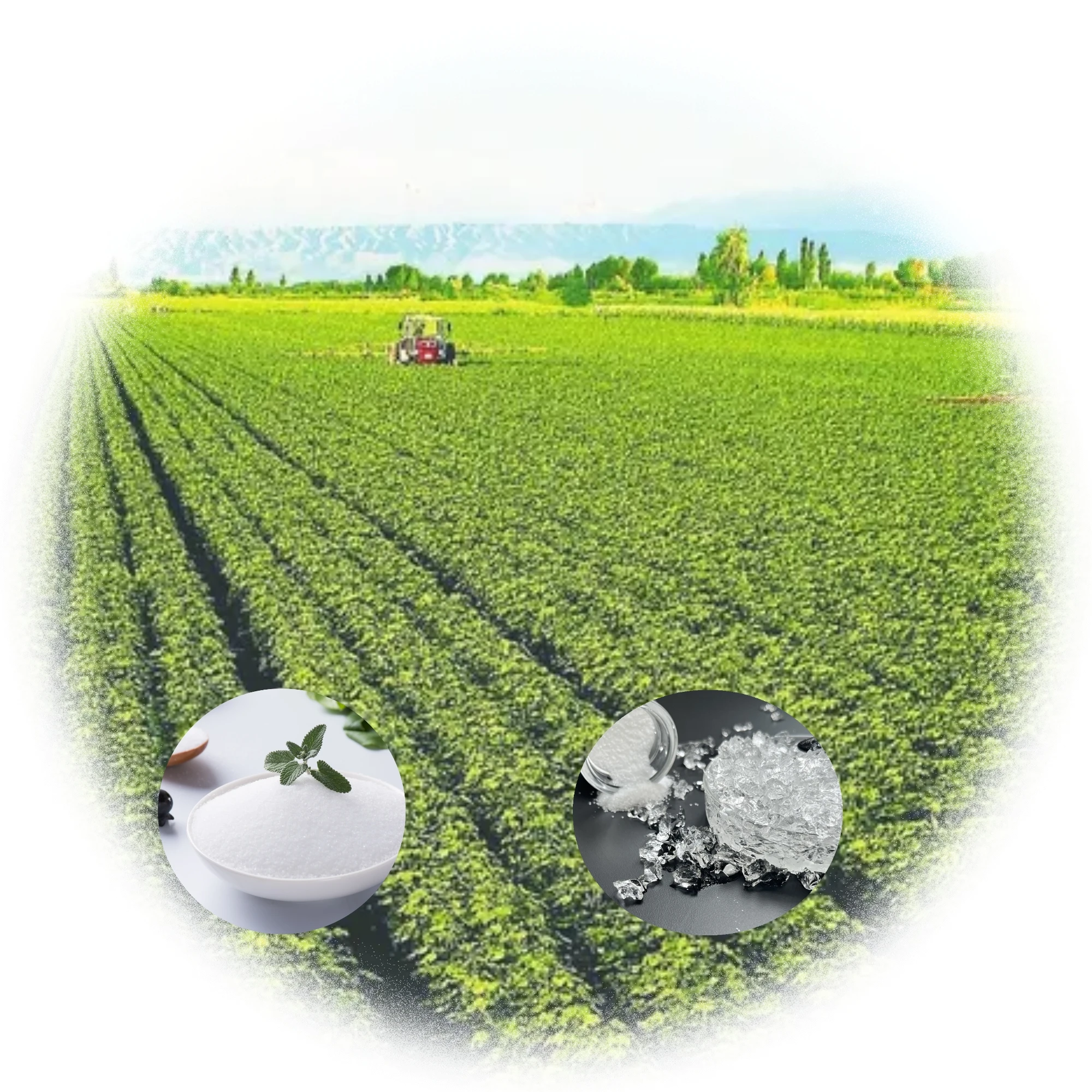 Water-retaining Agent SAP Water Absorbent Gel Potassium Polyacrylate Super Absorbent Polymer for Agriculture Crops
