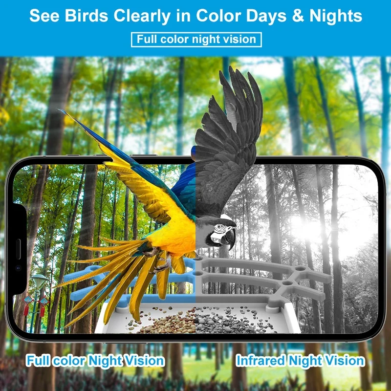 Solar Powered 1080P HD Live Video Playback on Phone AI Identify +10,000 Bird Species 2.4G WiFi Smart Bird Feeder For Outdoor