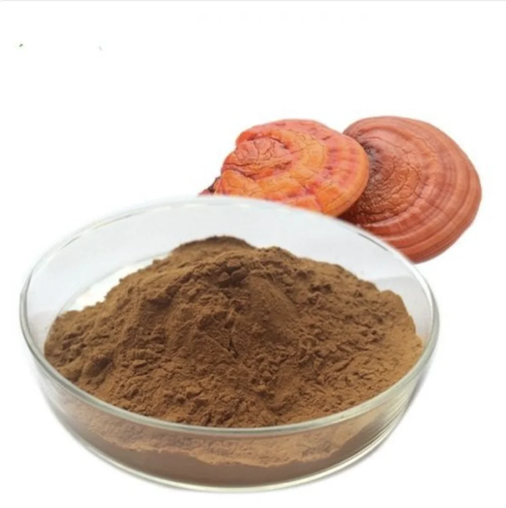Nutritious and Delicious Lingzhi Ganoderma Lucidum Spore Extract Reishi Mushroom Powder with Polysaccharides Food Grade 24months